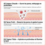 Vaporisateur Facial Ionique Peau Lumineuse en 10 Minutes