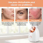 Vaporisateur Facial Ionique Peau Lumineuse en 10 Minutes